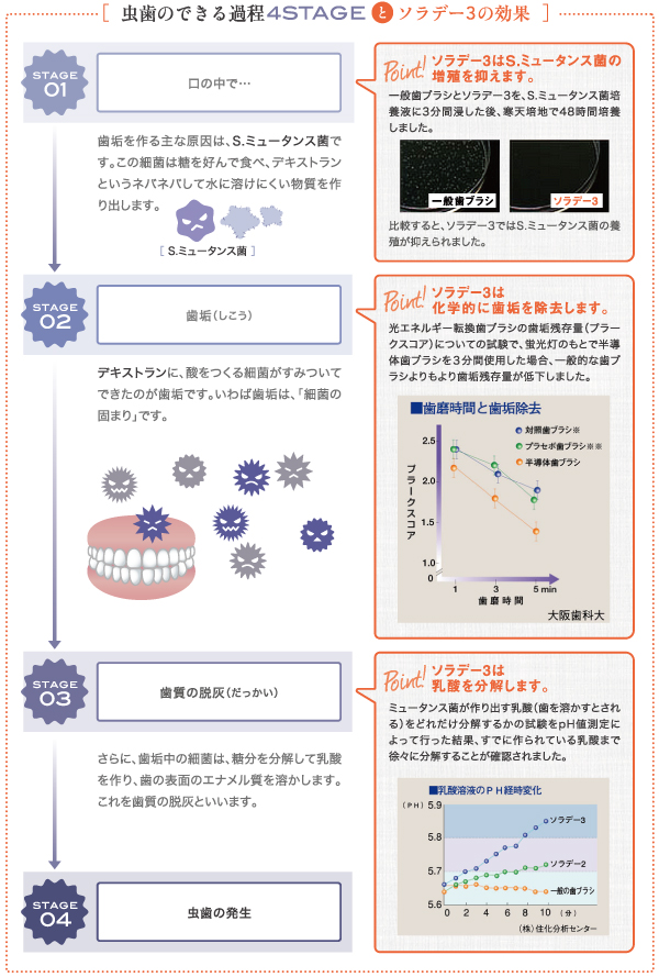 ソラデー公式通販サイト Soladeyソラデー３ レギュラーヘッド パープル ソラデー歯ブラシ 期間限定特典付